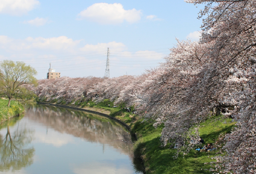 北越谷元荒川堤（